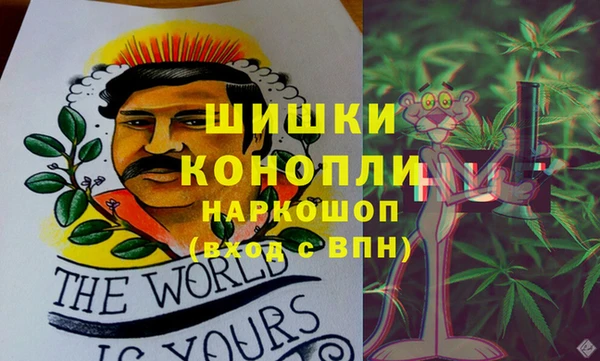 ГАЛЛЮЦИНОГЕННЫЕ ГРИБЫ Алексин
