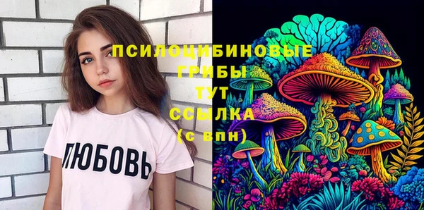 ГАЛЛЮЦИНОГЕННЫЕ ГРИБЫ Алексин